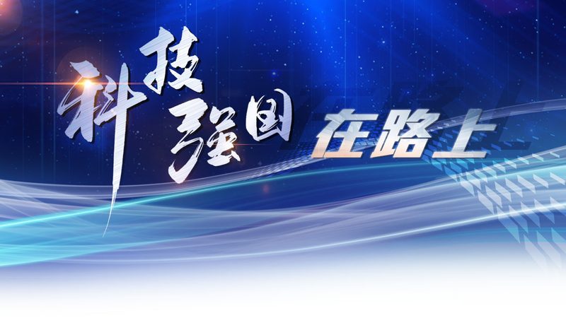 智能客服系统：如何评估其性能与可靠性